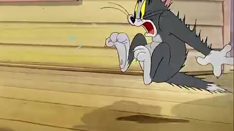 Tom and jerry Invicibel Mouse.