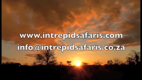 IntrepidSafaris.m4v