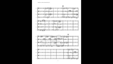 J.S. Bach – Motet: “Komm, Jesu, komm”, (Double String Orchestra)