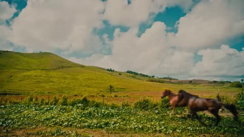 Ozuna - Isla Desierta (Video Oficial) | Afro