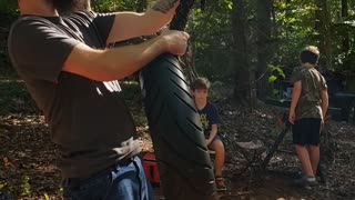 Tire Swing Shenanigans