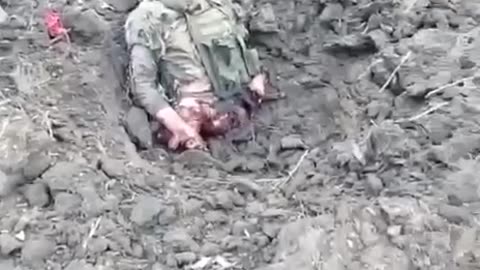 Casualty of Ukraine