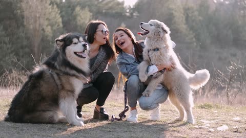 Girls play with Dogs