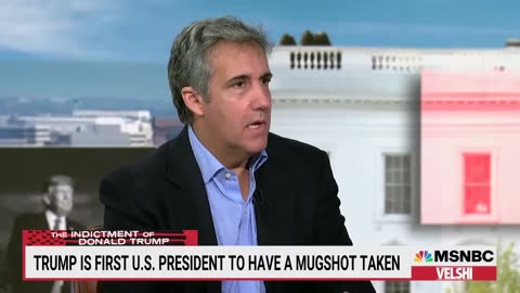 Michael Cohen: If any of Trump’s co-defendants turn on him, it’s ‘destruction for the rest’