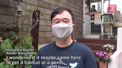 Wild animal ‘visits’ hair salon in northern Japan