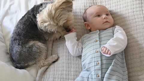 Dog Sitting Beside a Baby, cute baby
