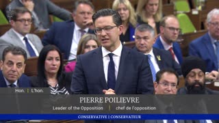 Pierre Poilievre Delivers 3 Hour Economics Lesson to Canadian House of Commons