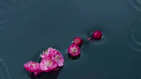 The lake ripples and the fragrance of flowers stirs the breeze