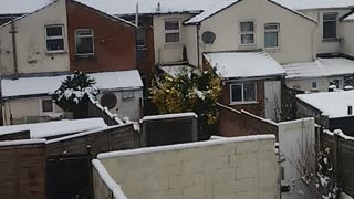 Uk cold snow