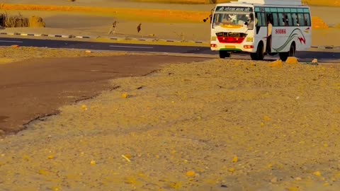 Travel in thar desert