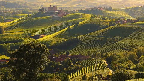 Langhe Roero - Piedmont. Breathtaking Italy