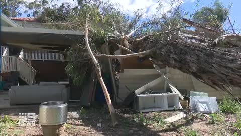 Strong winds down trees and power lines across Sydney | 9 News Australia