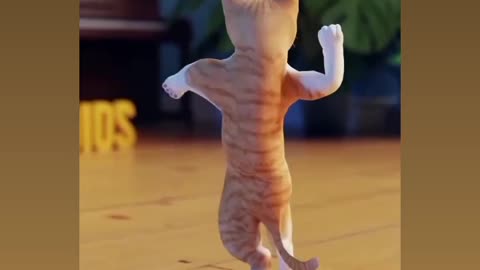 cute cat dancing
