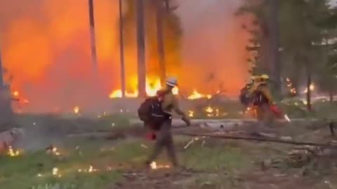 🔥🔥🔥 Fire season has begun in the state of Washington & Canada. They set the fires...