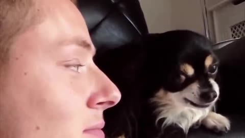 Dogs Sneaky Kisses