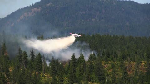 Plane extinguishing the fire in the forest