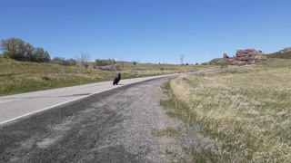 South Valley Park Littleton wait for the motorcycles great sounds