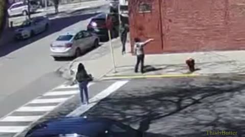 Surveillance video shows Chicago Police officer shooting, killing man's dog