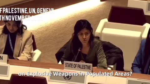 Representative for the State of Palestine at the UN