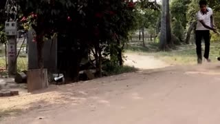 Troll Prank Dog Funny &Fake Lion and Fake Tiger Prank To Dog