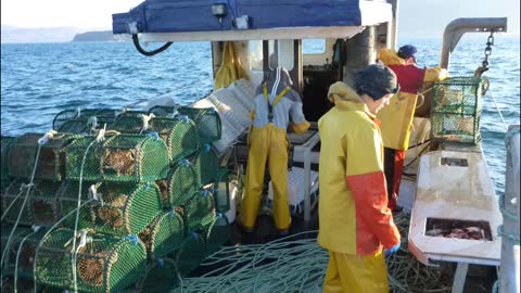 Lady Jane at the prawns ,,,Mull ,,,,