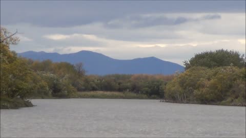 Moose Hunt 2014 On the Yukon River with yukonjeff