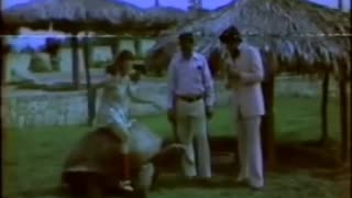 La Casa de Pequitas - Parque Zoológico Nacional - 1975