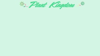 Plant Classification