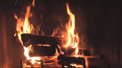 2 Relaxing Wild Music with Beautiful Fireplace