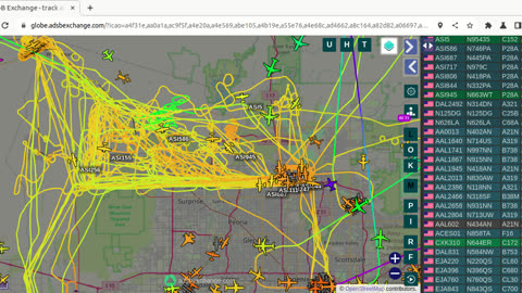 Bird NaziPac Transpac N8647E N4133D N746PA N663WT N445PA N41487 gang bangin Arizona