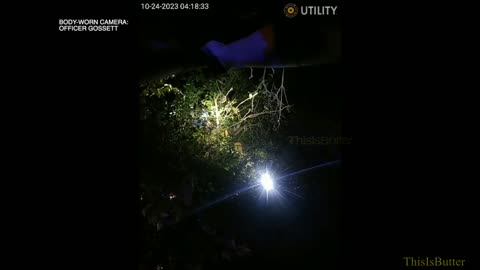 Bodycam video shows man being fatally shot down from a tree by an IMPD officer
