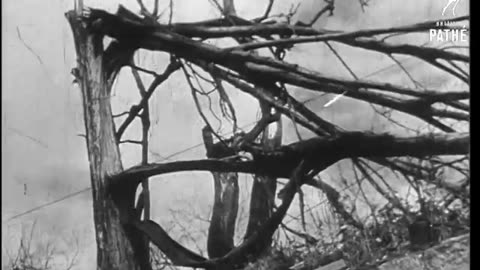 Flashback to Hiroshima Atom Drop (1964): A Glimpse into the Aftermath