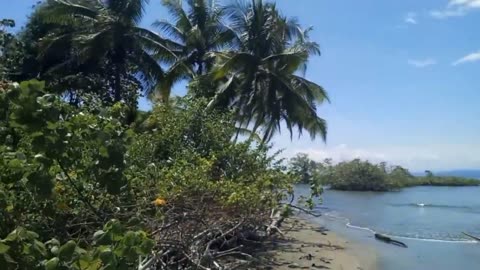 Von Costa Rica nach Panama / Agua Buena / Puerto Jimenez / David / Reisen / Vlog / Natur / Freiheit