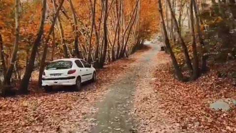 Biking in the autumn forest