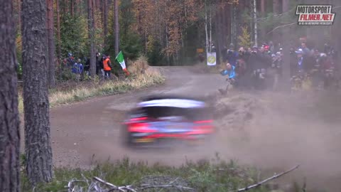 The best of WRC