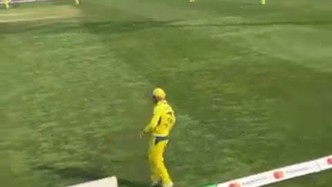 David warner Pusha Dance