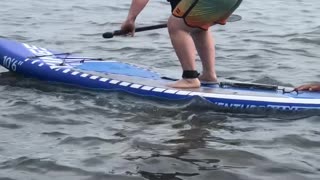 Paddleboarding Gone Wrong