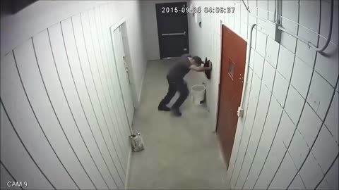 Store owner traps an thief in an entry-only trap and catches it on cctv