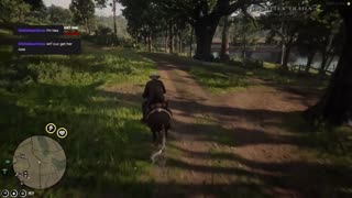Red Dead 2 RP I say no to marriage, and this is what I get.