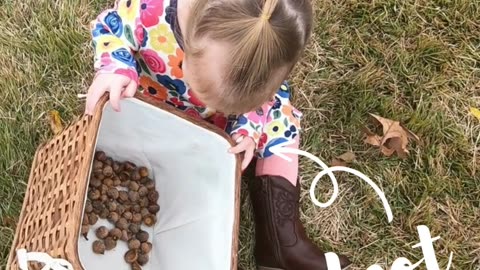 Acorn Hunt With My Toddler