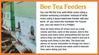 What is Bee Tea?