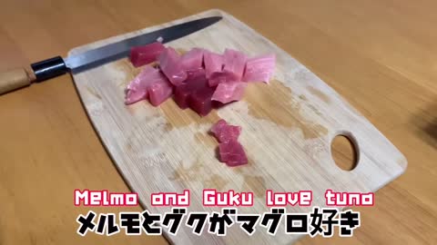 [猫動画]誕生日にマグロの刺身を食べる猫(91) 🍣Cat eating tuna sashimi on his birthday🍣 생일에 참치 회를 먹는 고양이🍣