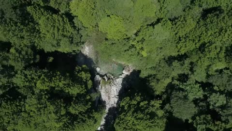 紅葉 の鳴子峡 ドローン 空撮 Autumn leaves in Narukokyo Japan