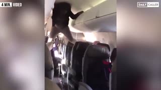 Woman Swings At Flight Attendant