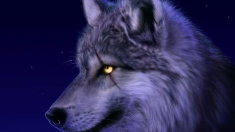 Wolf Head Animation Looped Free To Use (No Copyright)