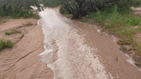 Flood Wash in Arizona