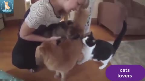 Watch Cats and Dogs Meeting Each other For The First Time 2022