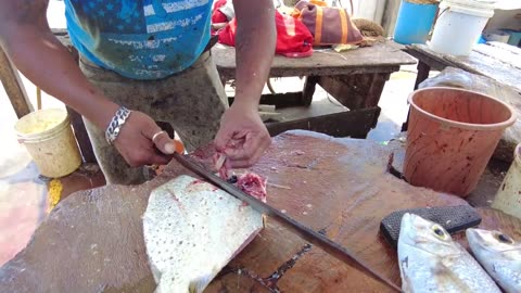 Sickle Fish Cutting _ Fish Cutting Skills Sri Lanka