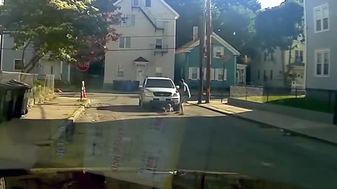 Car Runs Over Dog (Dog Survives)