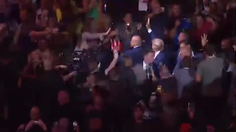 Donald J. Trump attends UFC 290